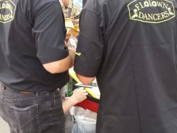 Auftritt Liesinger Platz 2015