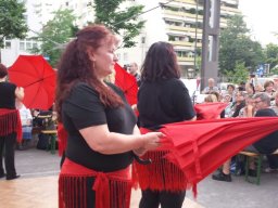 Auftritt Liesinger Platz 2015