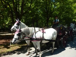 Country Fiakerfahrt 2017