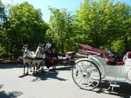 Country Fiakerfahrt 2017