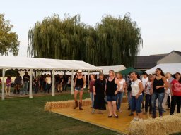 Countryfest Ladendorf 2017